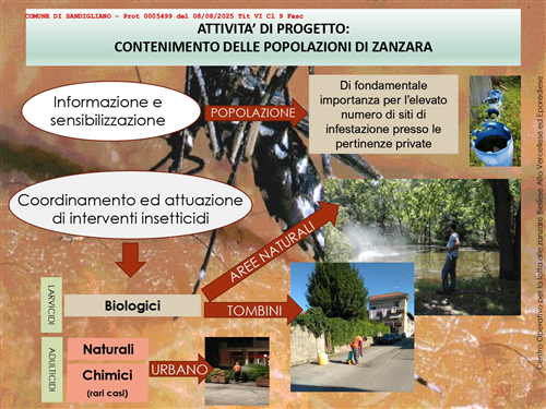 La carta d’identità rilasciata su modello cartaceo, cesserà di essere valida per l’espatrio dal 03 agosto 2026