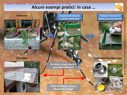 Progetto di lotta alle zanzare