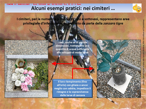 Progetto di lotta alle zanzare